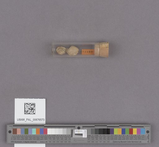 NSF ADBC EPICC TCN