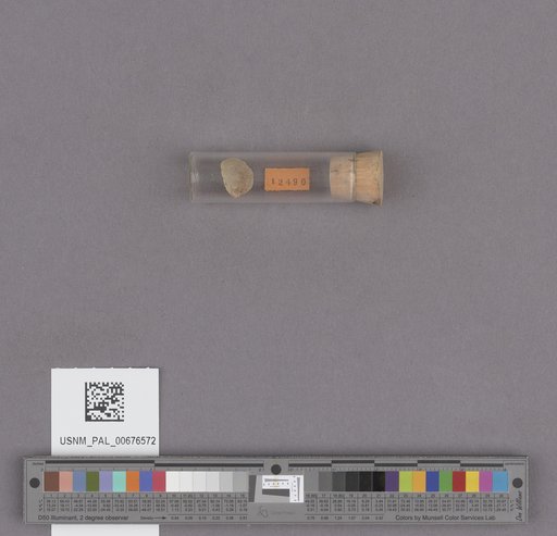 NSF ADBC EPICC TCN