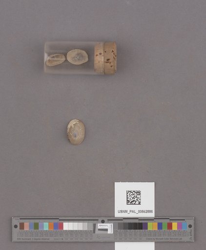 NSF ADBC EPICC TCN