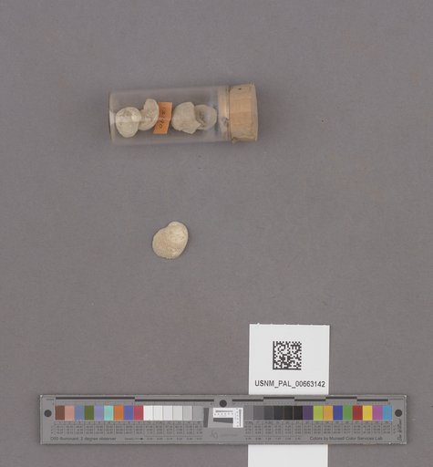 NSF ADBC EPICC TCN