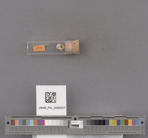 NSF ADBC EPICC TCN