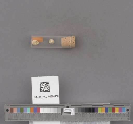 NSF ADBC EPICC TCN