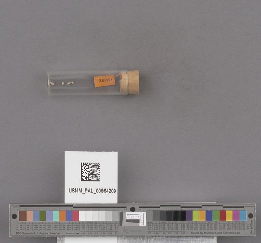 NSF ADBC EPICC TCN