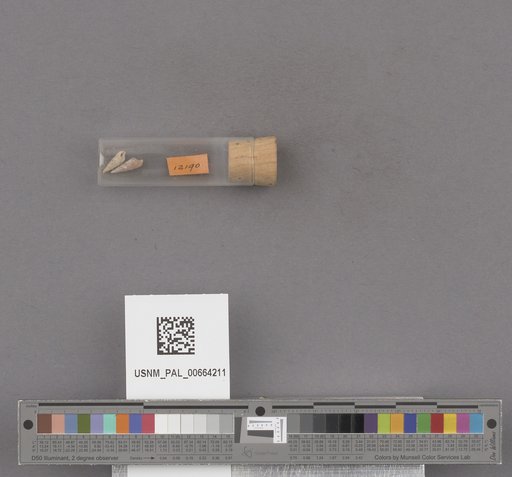NSF ADBC EPICC TCN