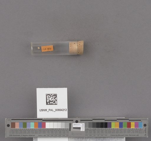 NSF ADBC EPICC TCN