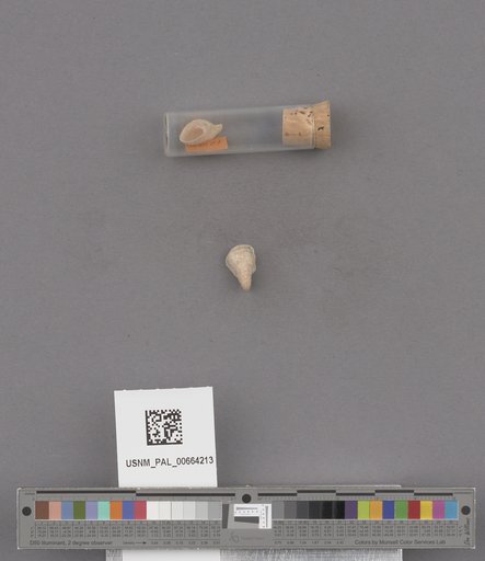 NSF ADBC EPICC TCN