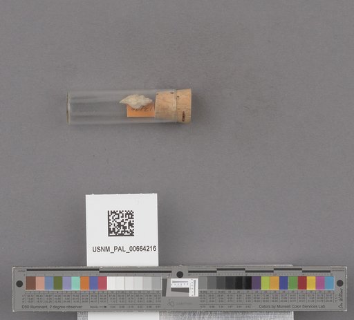 NSF ADBC EPICC TCN