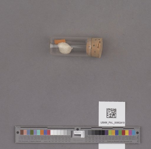 NSF ADBC EPICC TCN