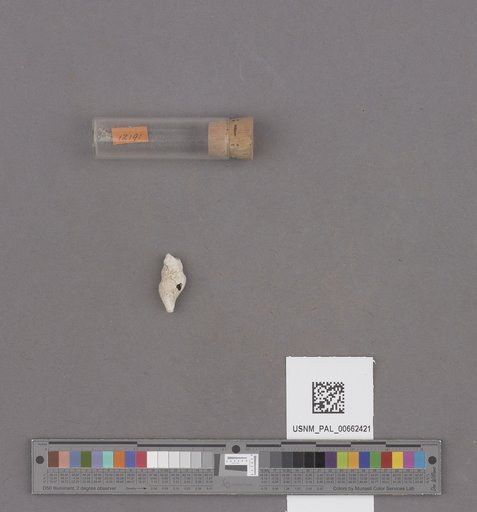 NSF ADBC EPICC TCN