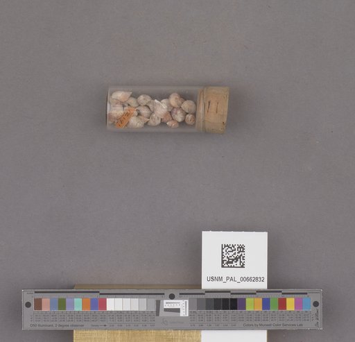NSF ADBC EPICC TCN