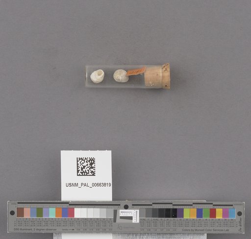 NSF ADBC EPICC TCN
