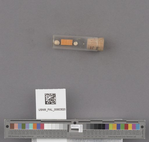 NSF ADBC EPICC TCN