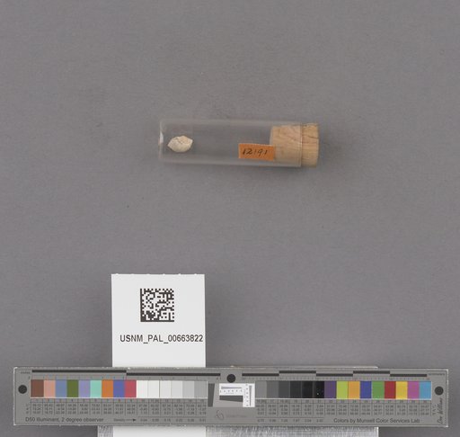 NSF ADBC EPICC TCN