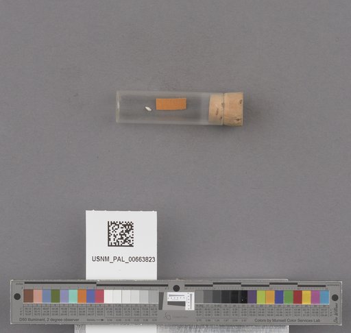 NSF ADBC EPICC TCN