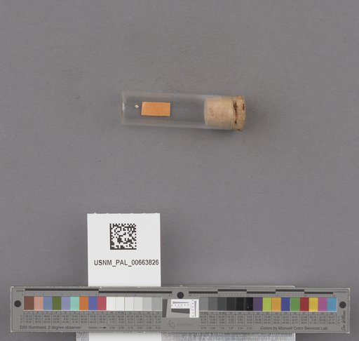 NSF ADBC EPICC TCN