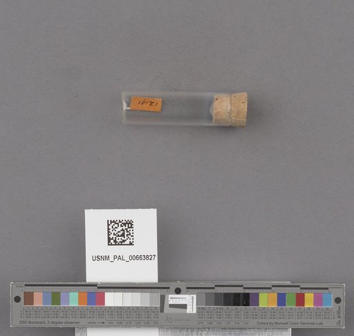 NSF ADBC EPICC TCN