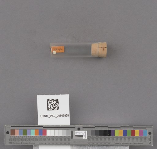 NSF ADBC EPICC TCN