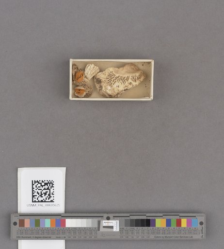 NSF ADBC EPICC TCN