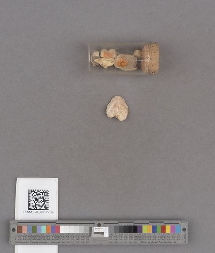 NSF ADBC EPICC TCN