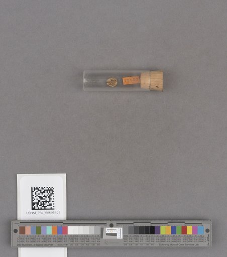 NSF ADBC EPICC TCN