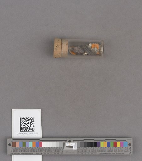 NSF ADBC EPICC TCN