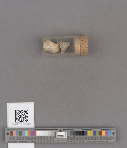 NSF ADBC EPICC TCN