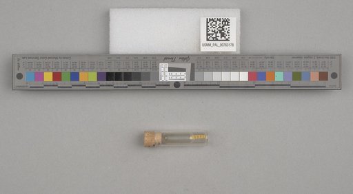 NSF ADBC EPICC TCN