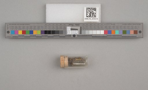 NSF ADBC EPICC TCN