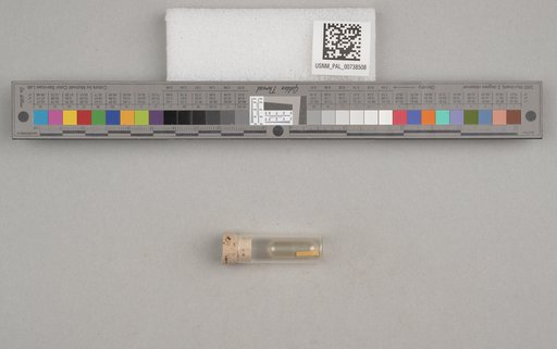 NSF ADBC EPICC TCN