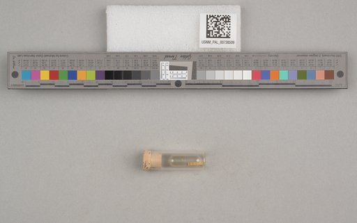 NSF ADBC EPICC TCN