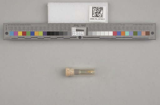 NSF ADBC EPICC TCN
