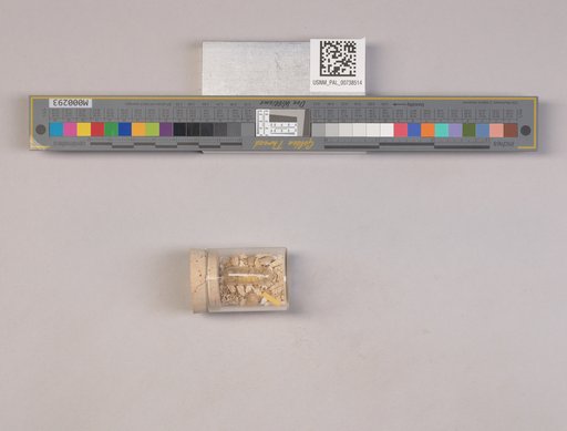 NSF ADBC EPICC TCN