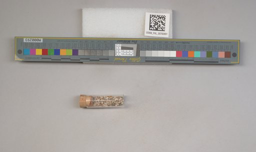NSF ADBC EPICC TCN