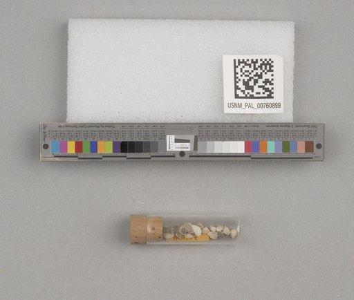 NSF ADBC EPICC TCN