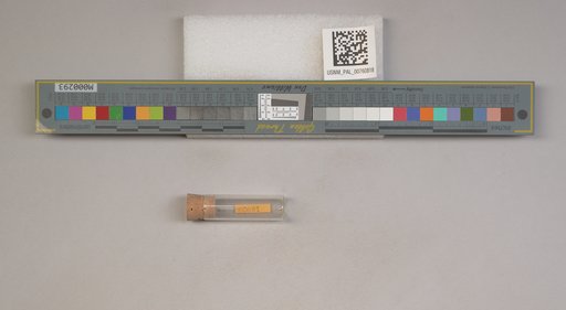 NSF ADBC EPICC TCN