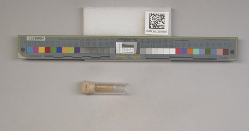 NSF ADBC EPICC TCN