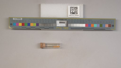 NSF ADBC EPICC TCN