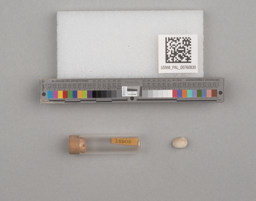 NSF ADBC EPICC TCN