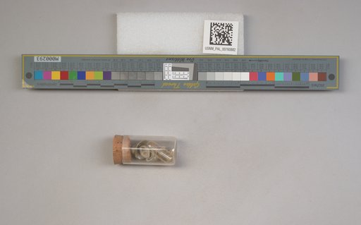 NSF ADBC EPICC TCN