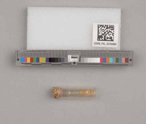 NSF ADBC EPICC TCN