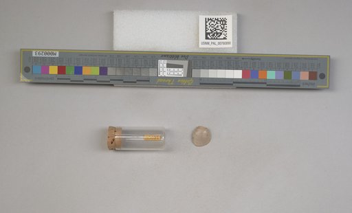NSF ADBC EPICC TCN