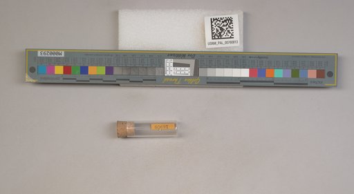 NSF ADBC EPICC TCN