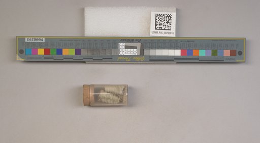 NSF ADBC EPICC TCN