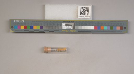 NSF ADBC EPICC TCN