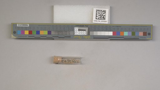 NSF ADBC EPICC TCN