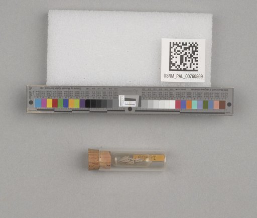 NSF ADBC EPICC TCN