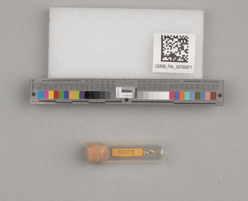 NSF ADBC EPICC TCN