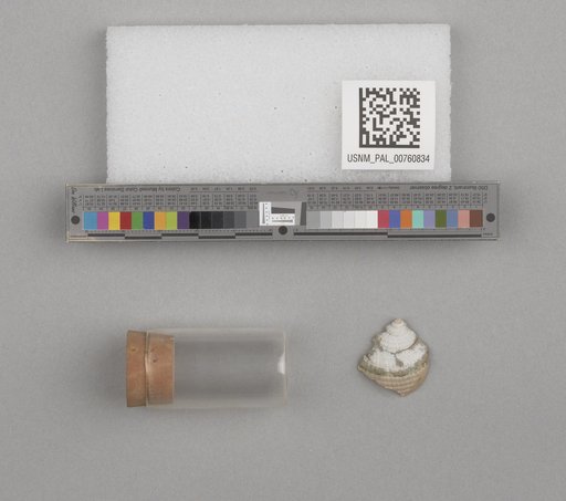 NSF ADBC EPICC TCN