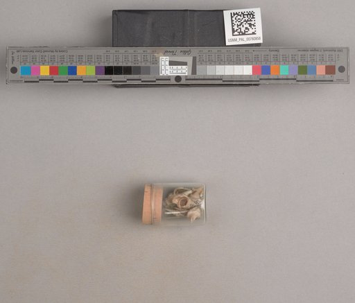 NSF ADBC EPICC TCN