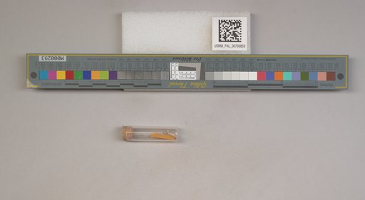 NSF ADBC EPICC TCN